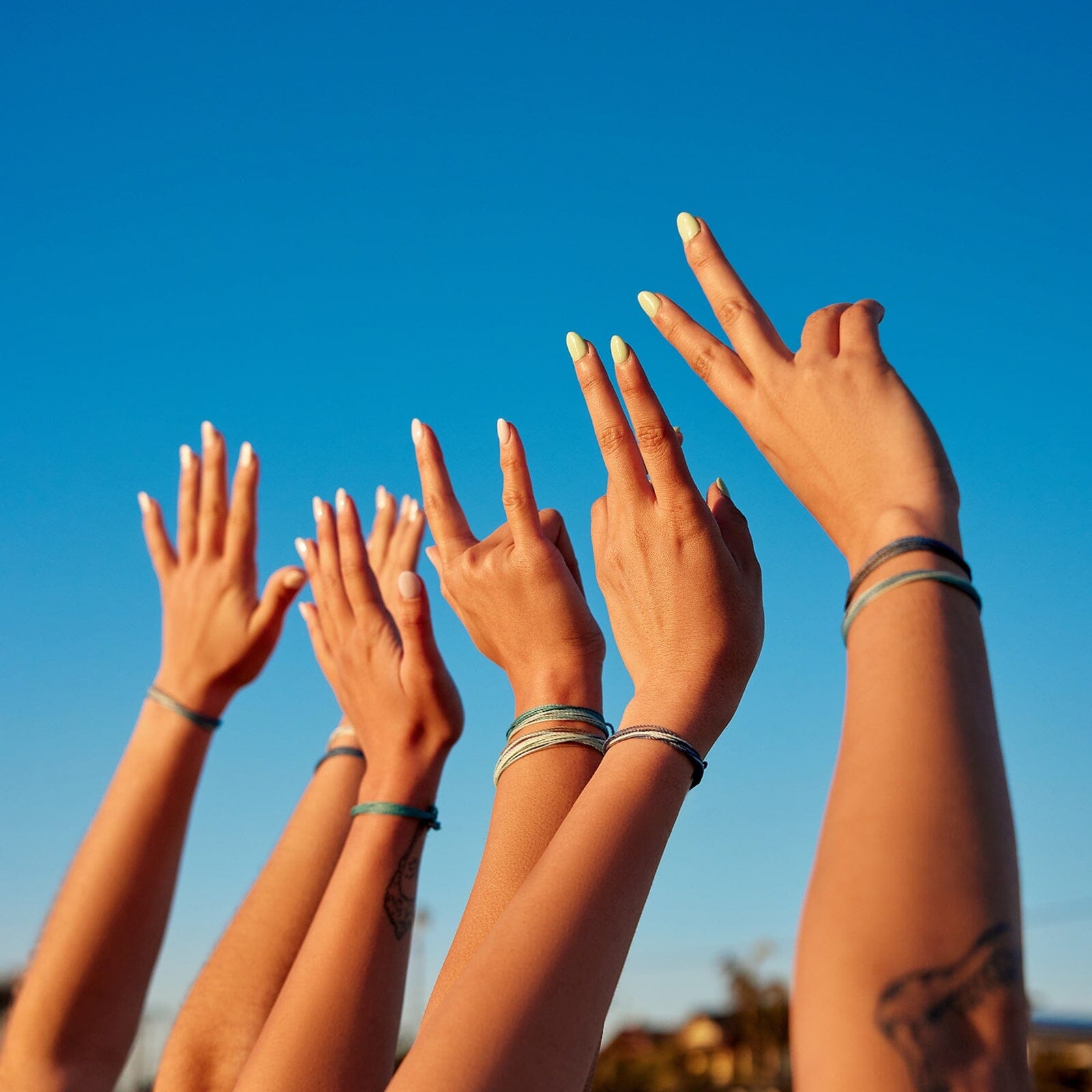 Blue Friendship 10 Pack - Image 9