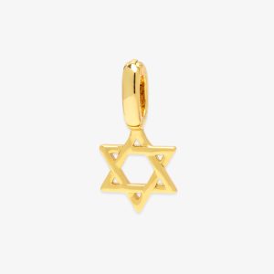 Harper Star of David Charm