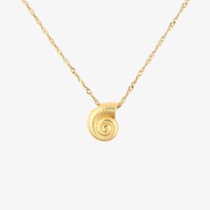 Seashell Pendant Necklace